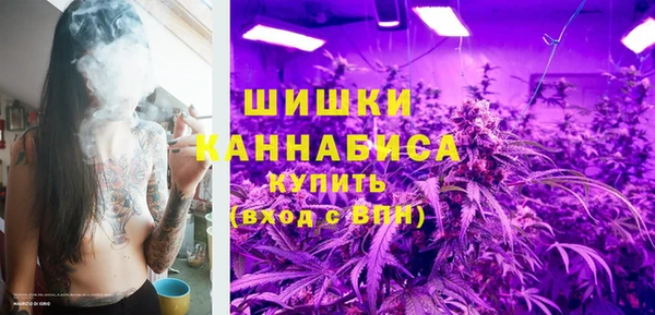 сатива Краснотурьинск